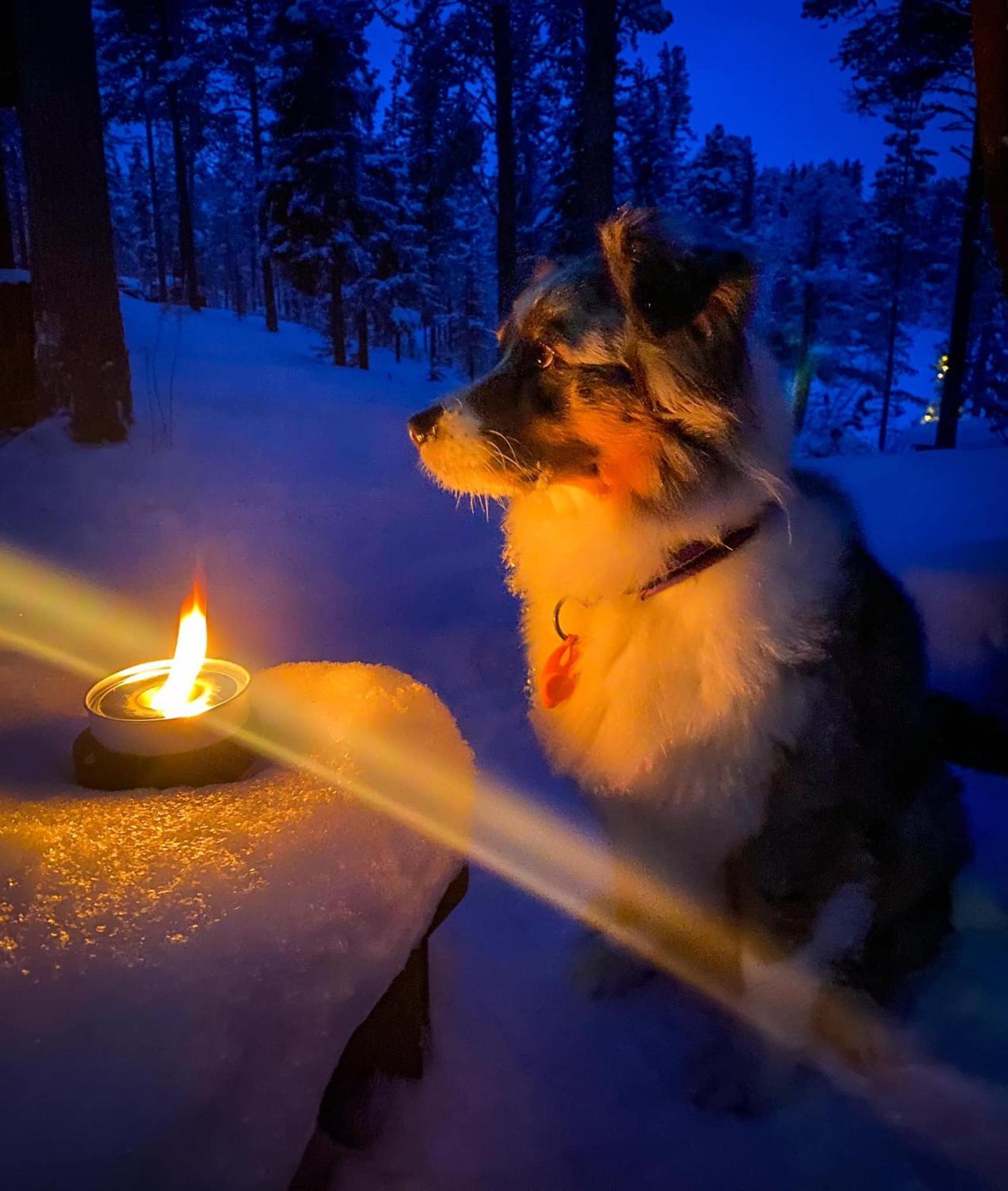 Aurora Camp Kurravaara Villa Dış mekan fotoğraf
